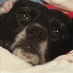 Meet your Posher, Brandon